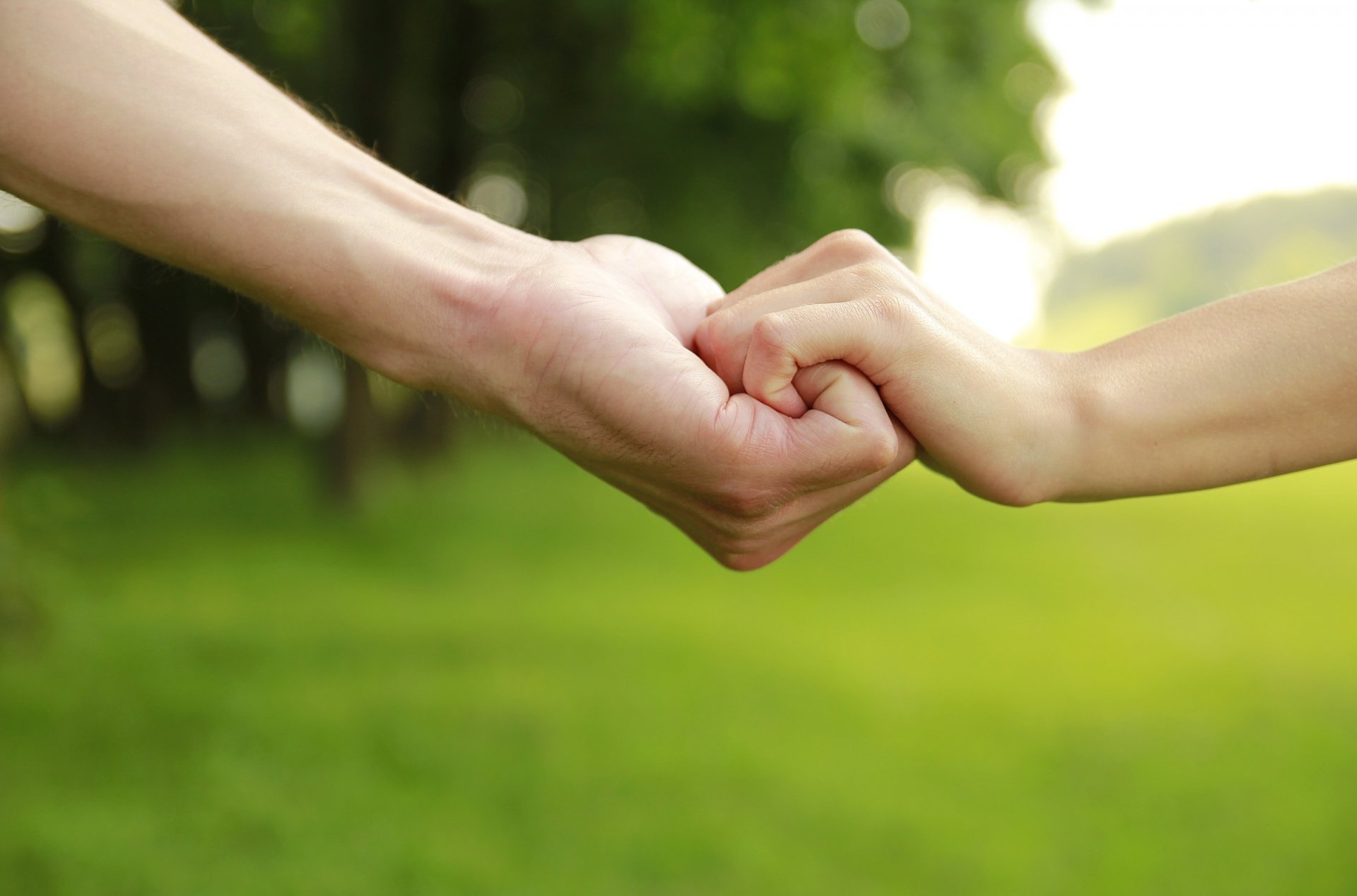 stati d animo ragazzo uomo bambino bambini ragazza ragazzo papà padre figlio protezione prop mani verde sfondo alberi carta da parati widescreen schermo intero widescreen widescreen