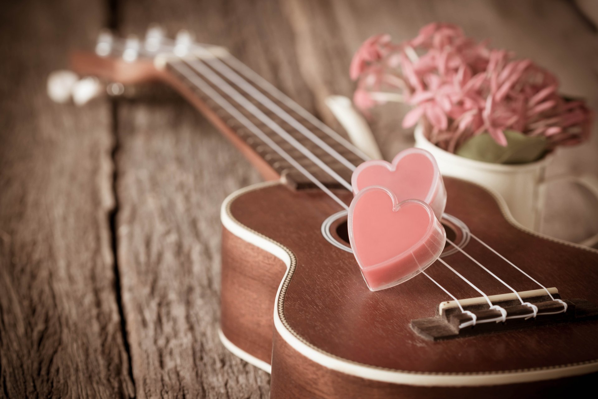 vintage amour romantique coeur de la guitare de fleurs