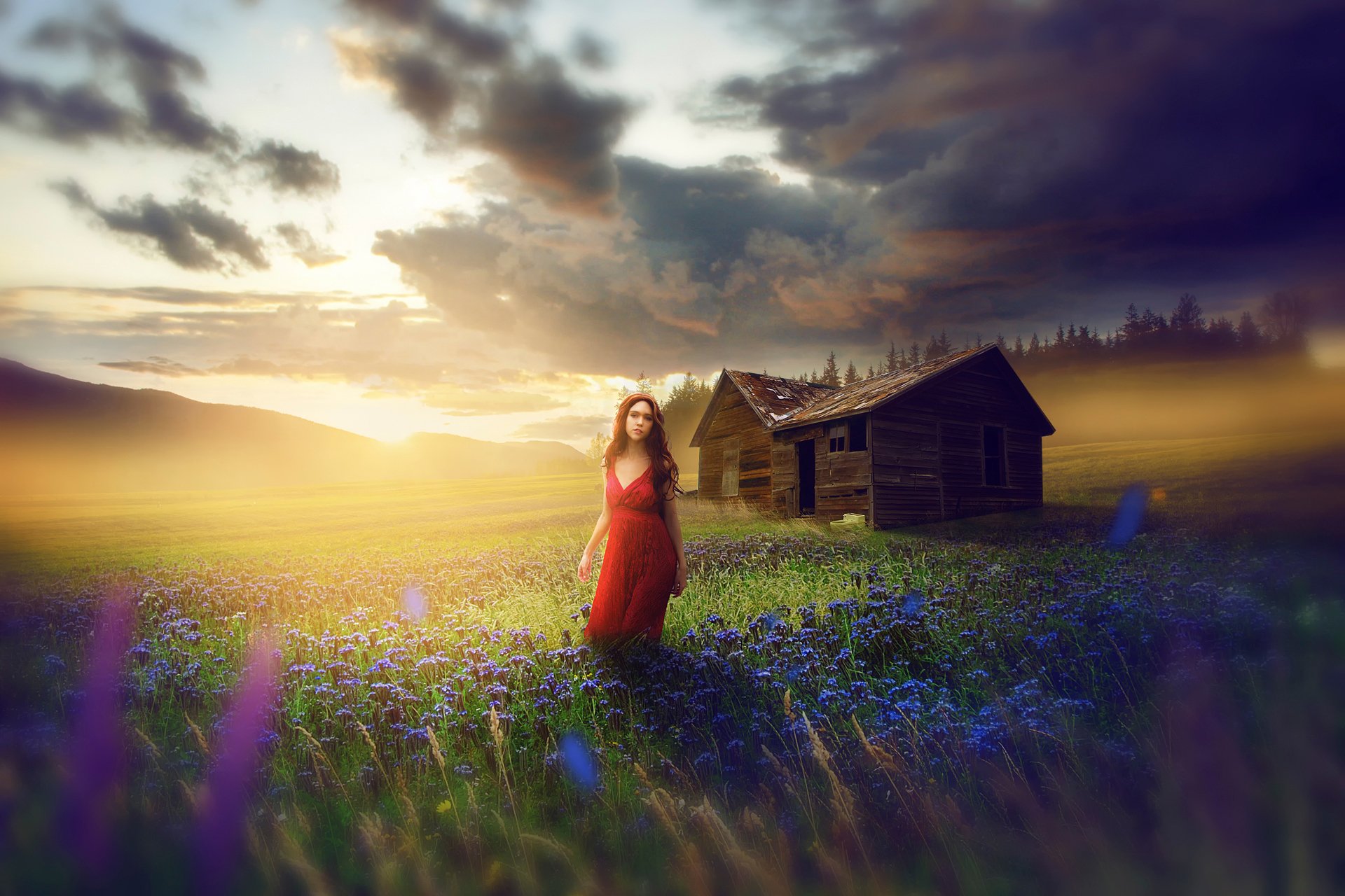 mädchen in rot kleid feld wiese blumen scheune bildende kunst