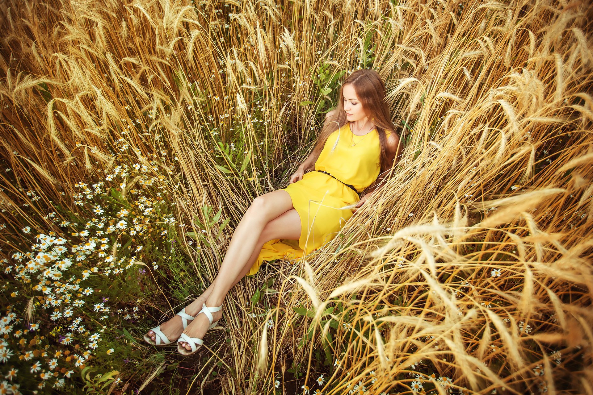 girl the field ears wheat dress chamomile