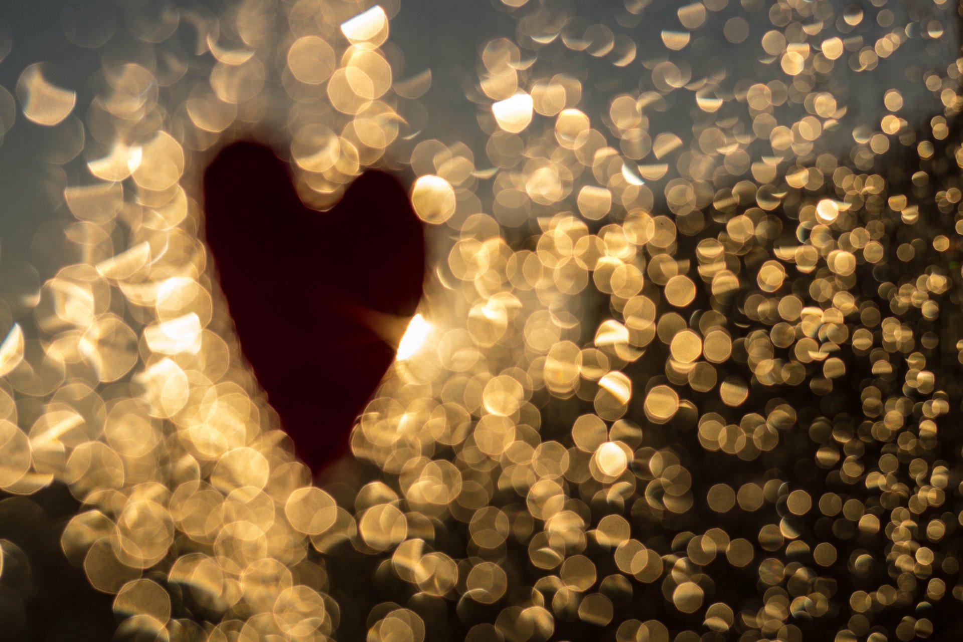 bokeh corazón corazón macro luz