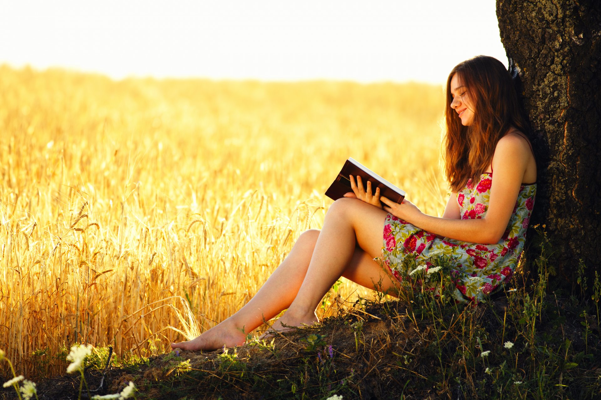 the field wheat ears tree girl book reading