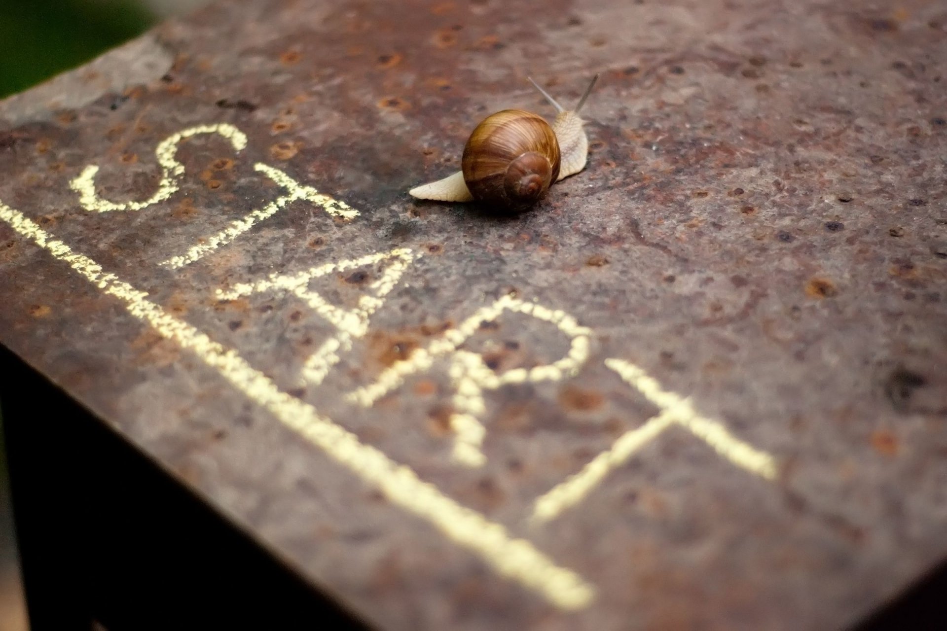 mood stert start beginning snail inscription background wallpaper widescreen full screen hd wallpaper