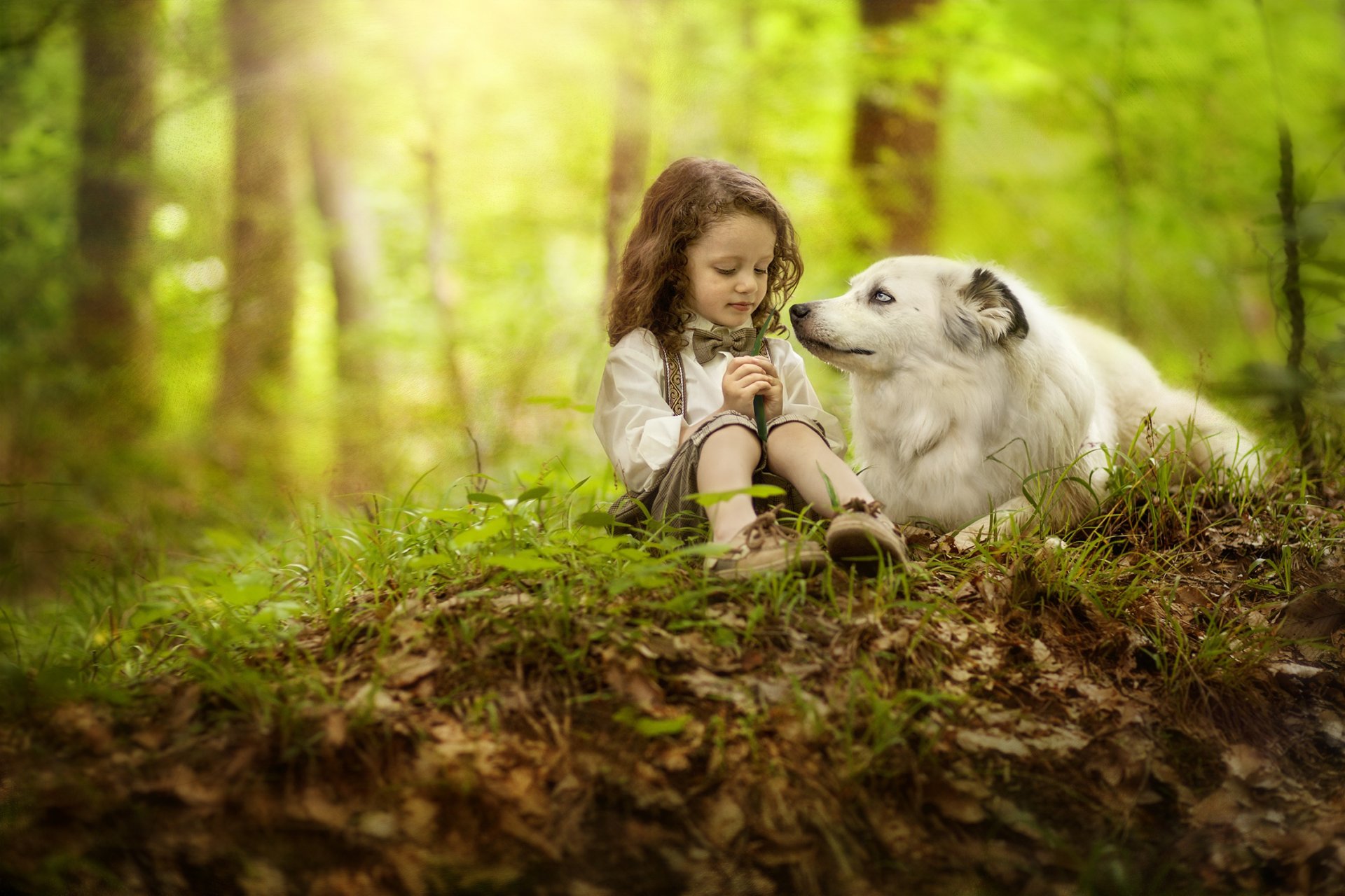 une fille un chien un ami