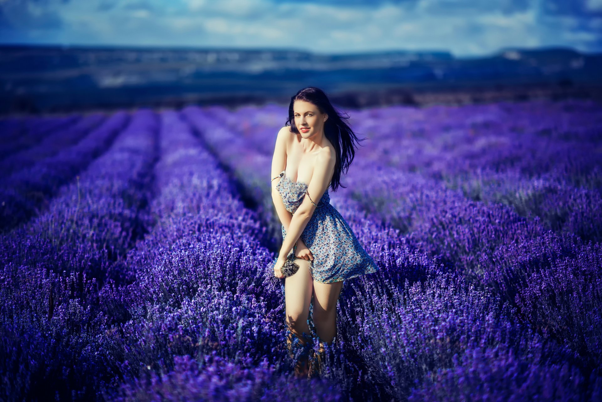 katrina bleu la jeune fille sur le terrain les fleurs la lavande les jambes le décolleté