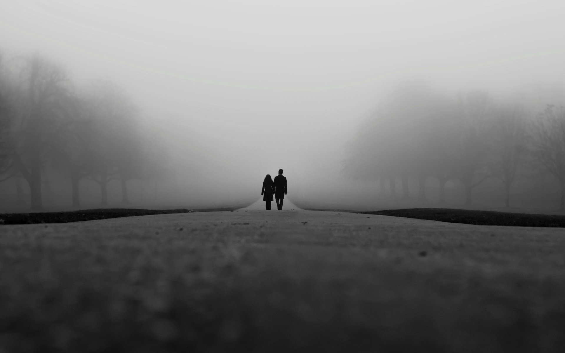 l humeur l obscurité la jeune fille un gars un homme une femme des silhouettes le couple le couple l amour le silence la route asphalte brouillard arbres nuit toile de fond l amour fonds d écran grand écran plein écran grand écran grand écran widescr