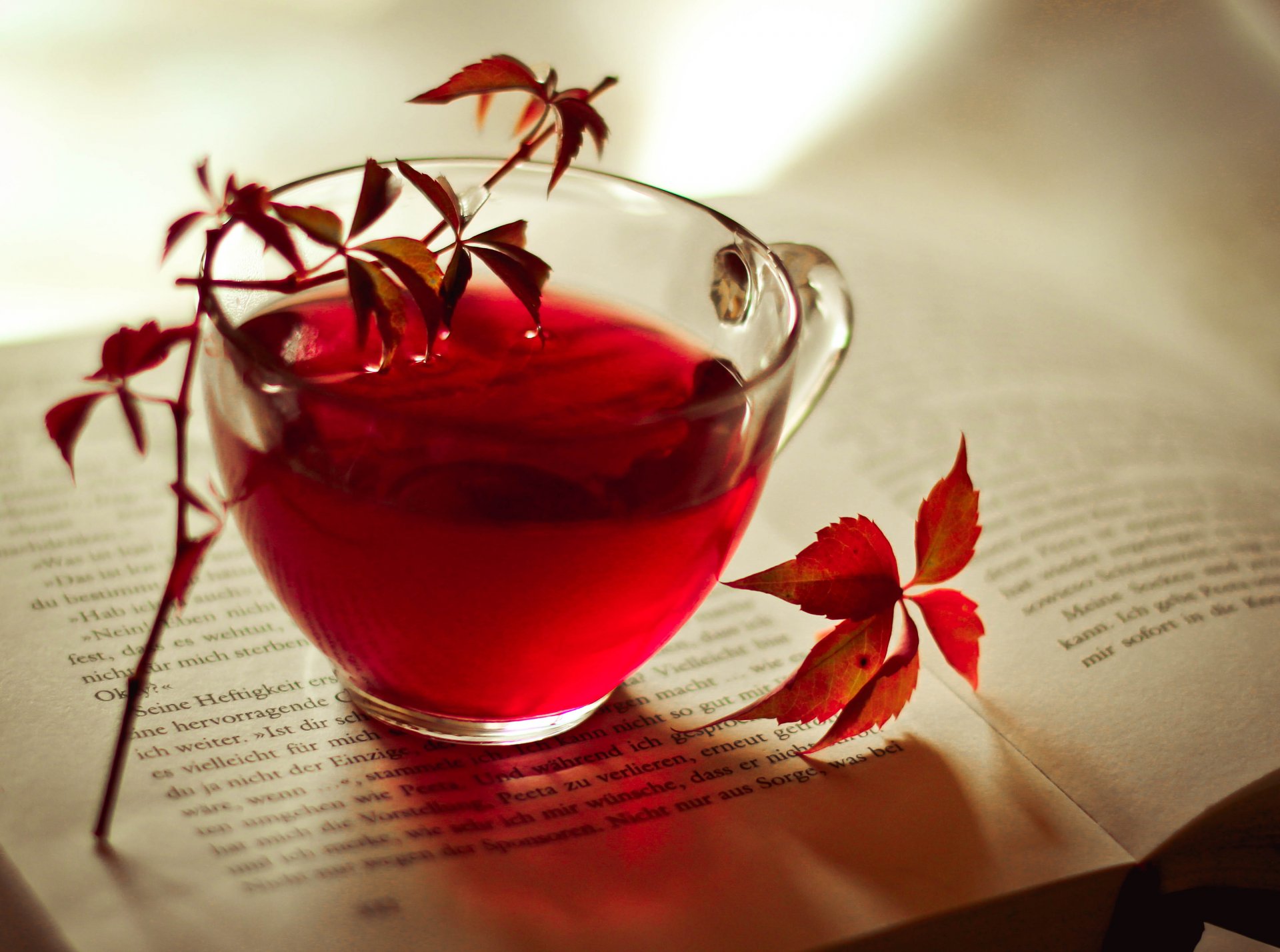 thé tasse un livre des feuilles rouge marron automne