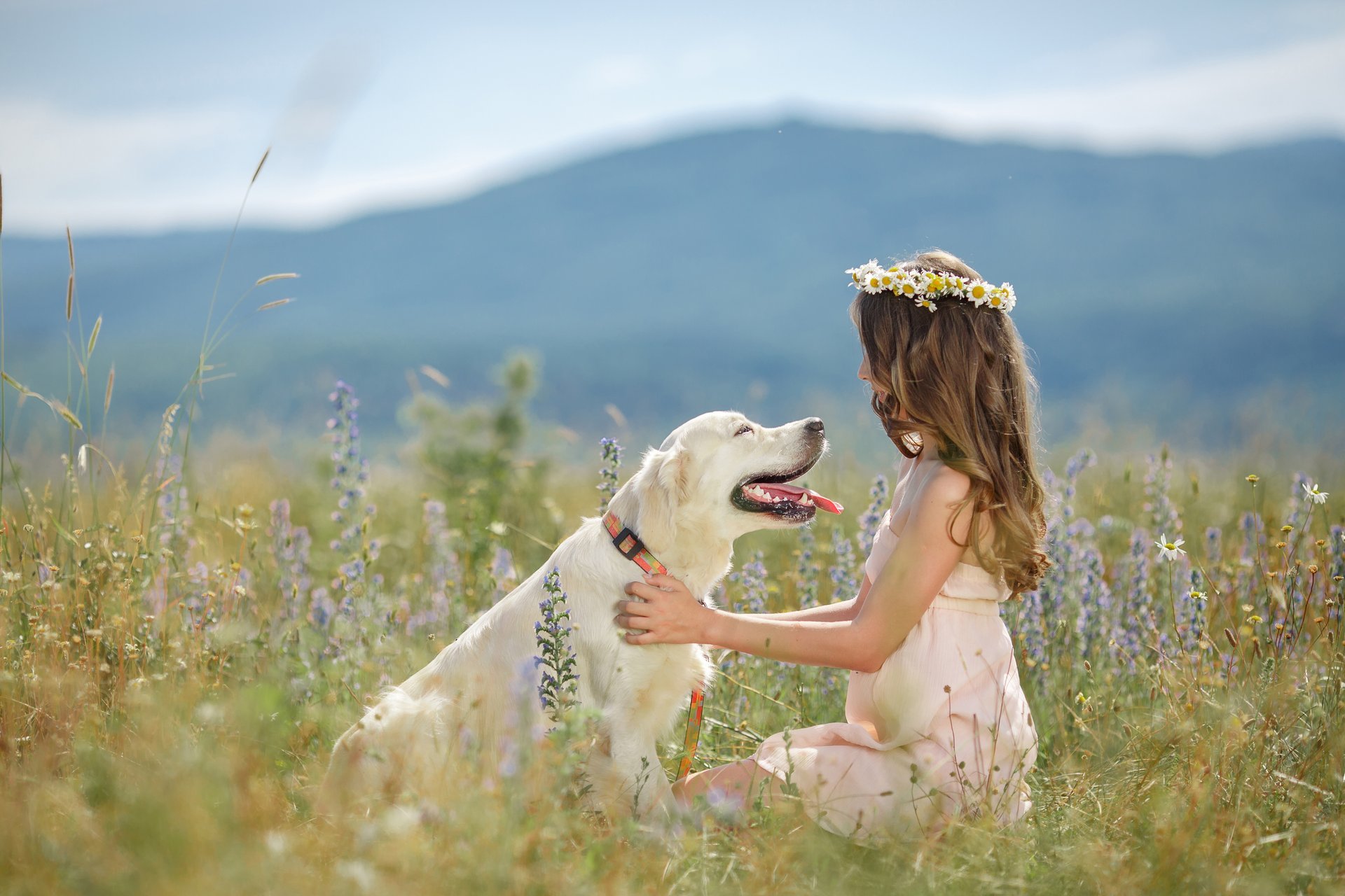 niña perro amigo corona margarita naturaleza