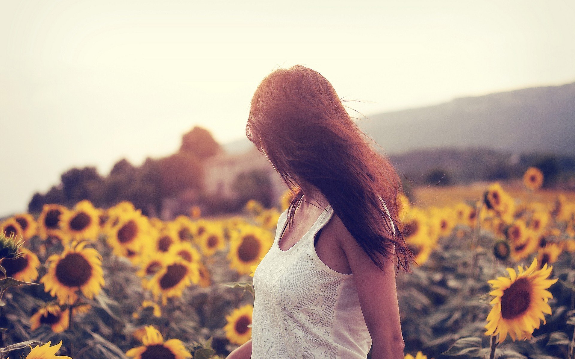 la jeune fille la posture le champ de tournesols