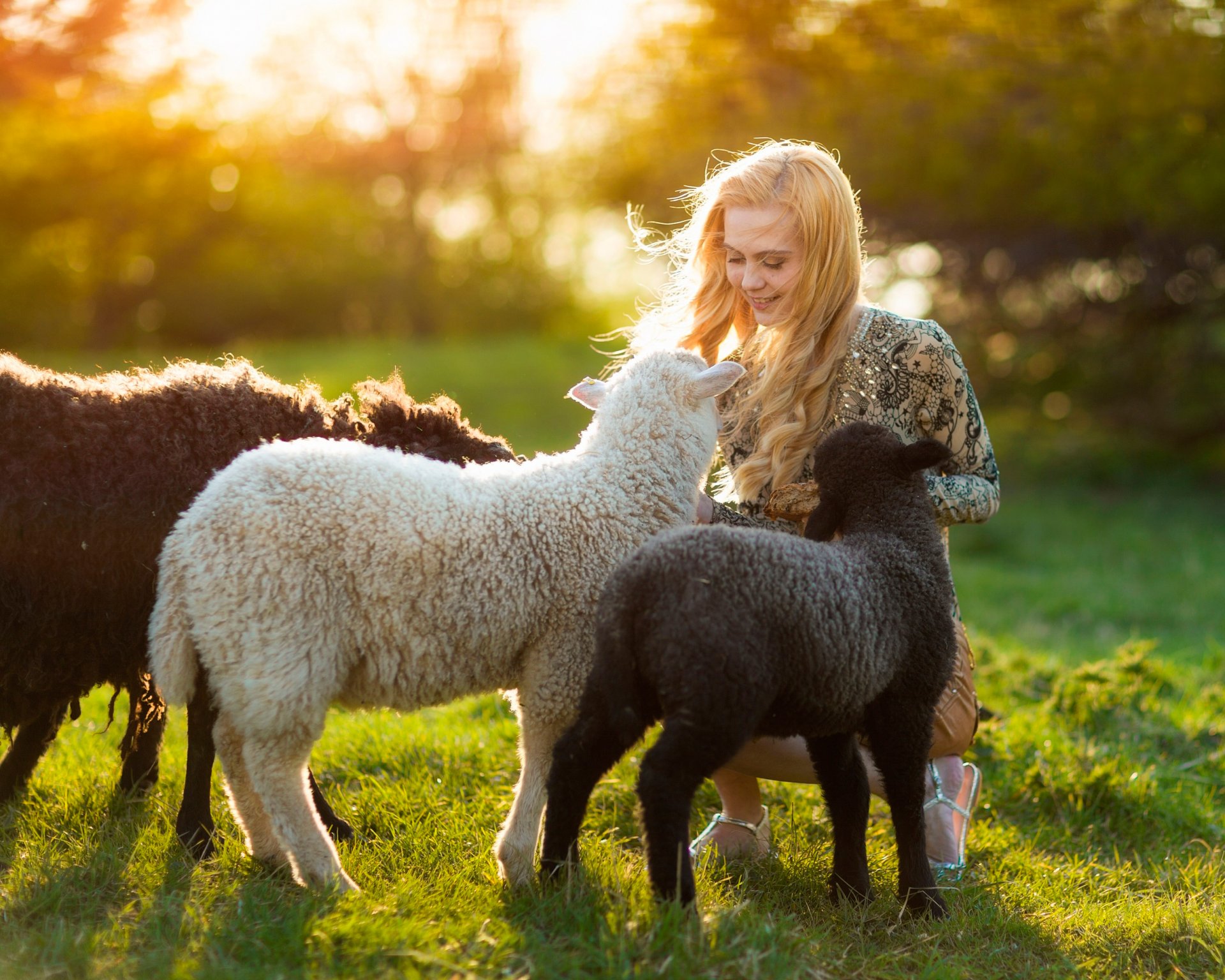 girl lamb sun summer