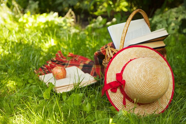 The perfect summer still life: a summer meadow, a blanket, a book, an apple and a straw hat