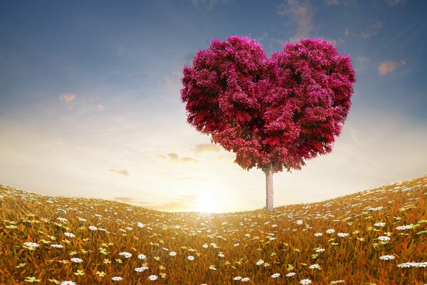 Árbol de amor en el campo