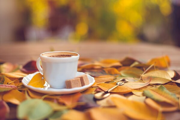 Weiße Tasse Kaffee und Zucker auf Untertasse auf Herbstlaub Hintergrund