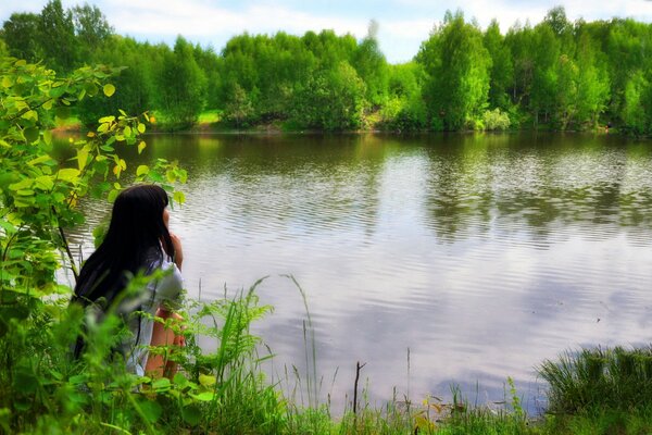 Solitude on the lake in the forest