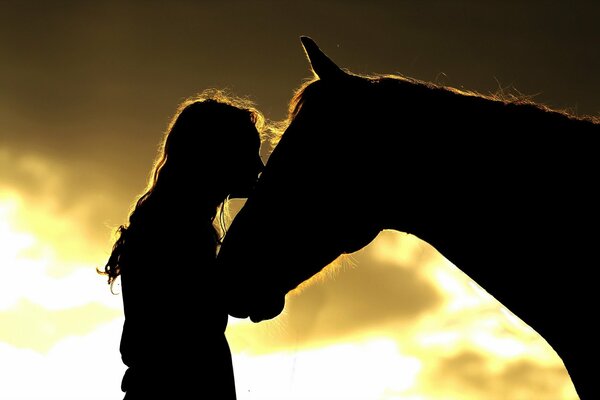 Chica besa caballo al atardecer