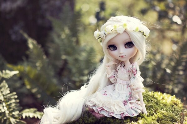 A doll with long hair and big eyes