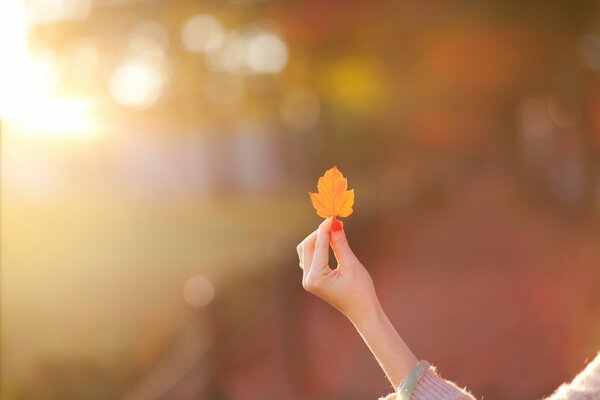 Hand des Mädchens mit gelbem Herbstblatt