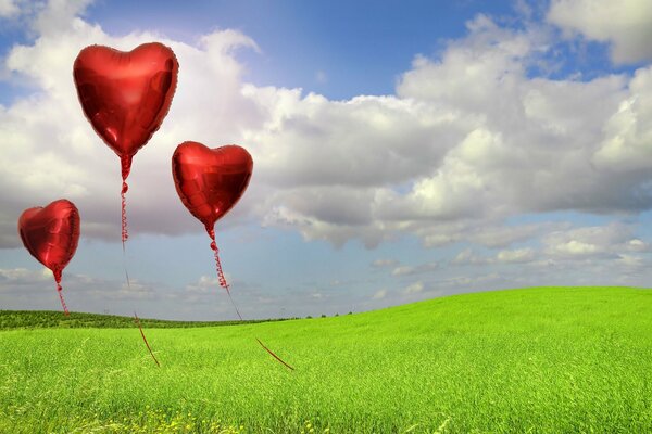 Rote Luftballons in Form von Herzen zwischen Gras und Himmel