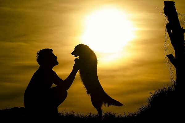 Force les hommes avec un chien sous le soleil