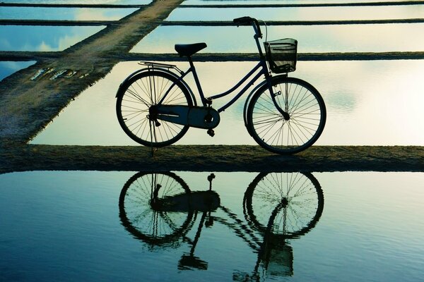 A bicycle with a basket is reflected in the water