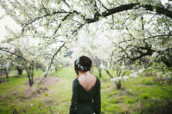 Spring blooming and a girl with a wreath