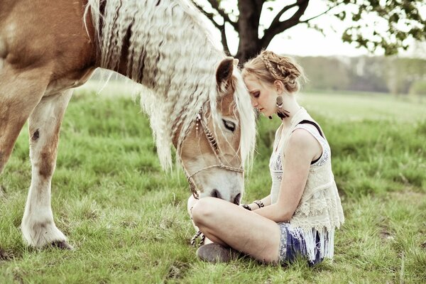 Une jeune femme est assise sur l herbe et nourrit le cheval