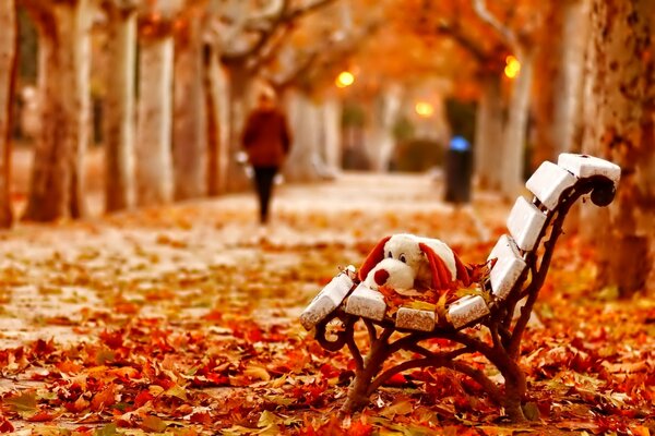 A beautiful autumn and a girl who left her toy