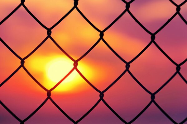 Hermosa puesta de sol detrás de la valla de cobre