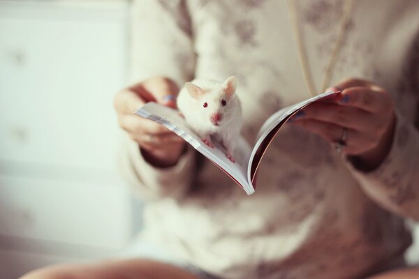 Chica con un libro abierto y una rata blanca