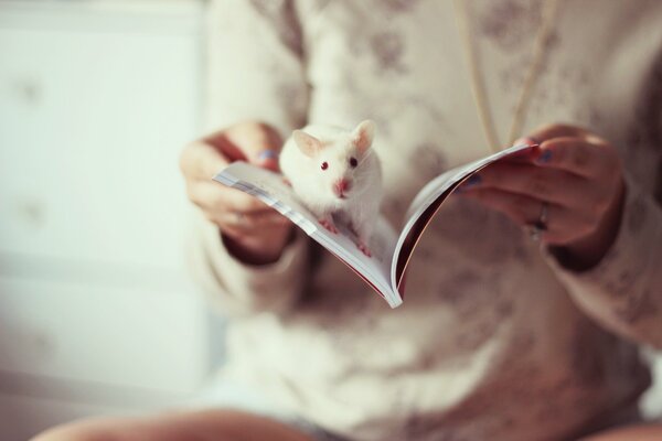 Fille avec un livre ouvert et un rat blanc