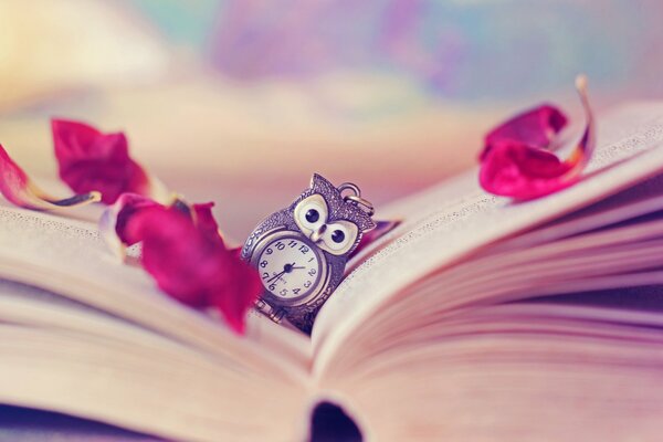 Rose petals in the book