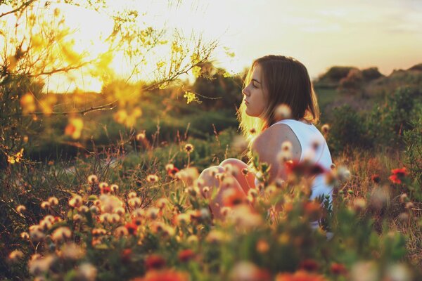 Dziewczyna w polu latem na tle zachodu Słońca