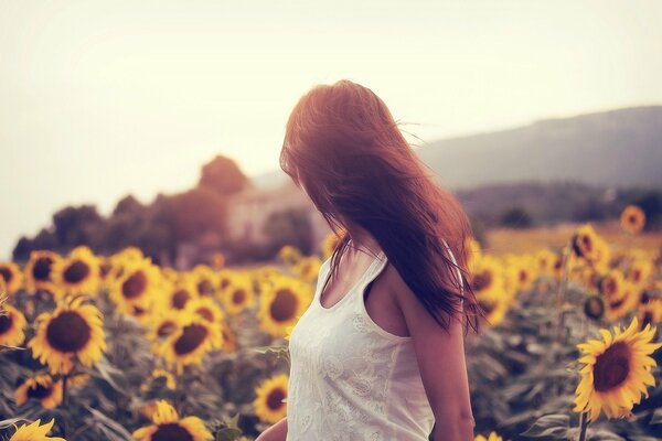 Mädchen im Feld der gelben Sonnenblumen