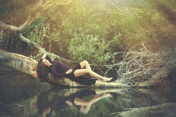 A girl is sitting on a tree branch for a photo