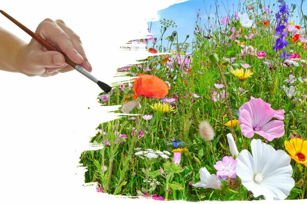 Flores dibujadas en el campo por el pincel de la mano hábil del artista