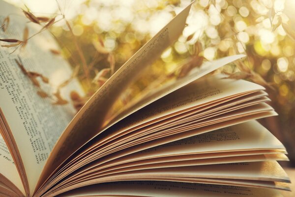 Pages of an open book against the background of nature