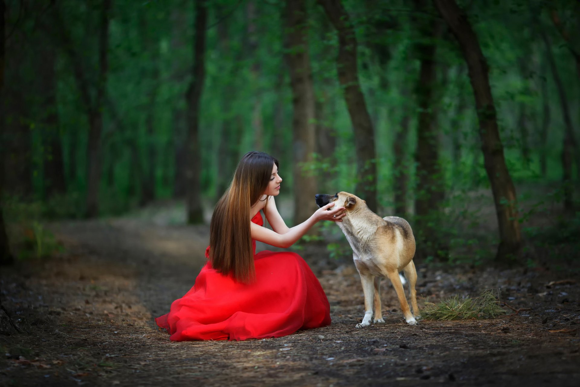 vestito rosso foresta ragazza cane amicizia