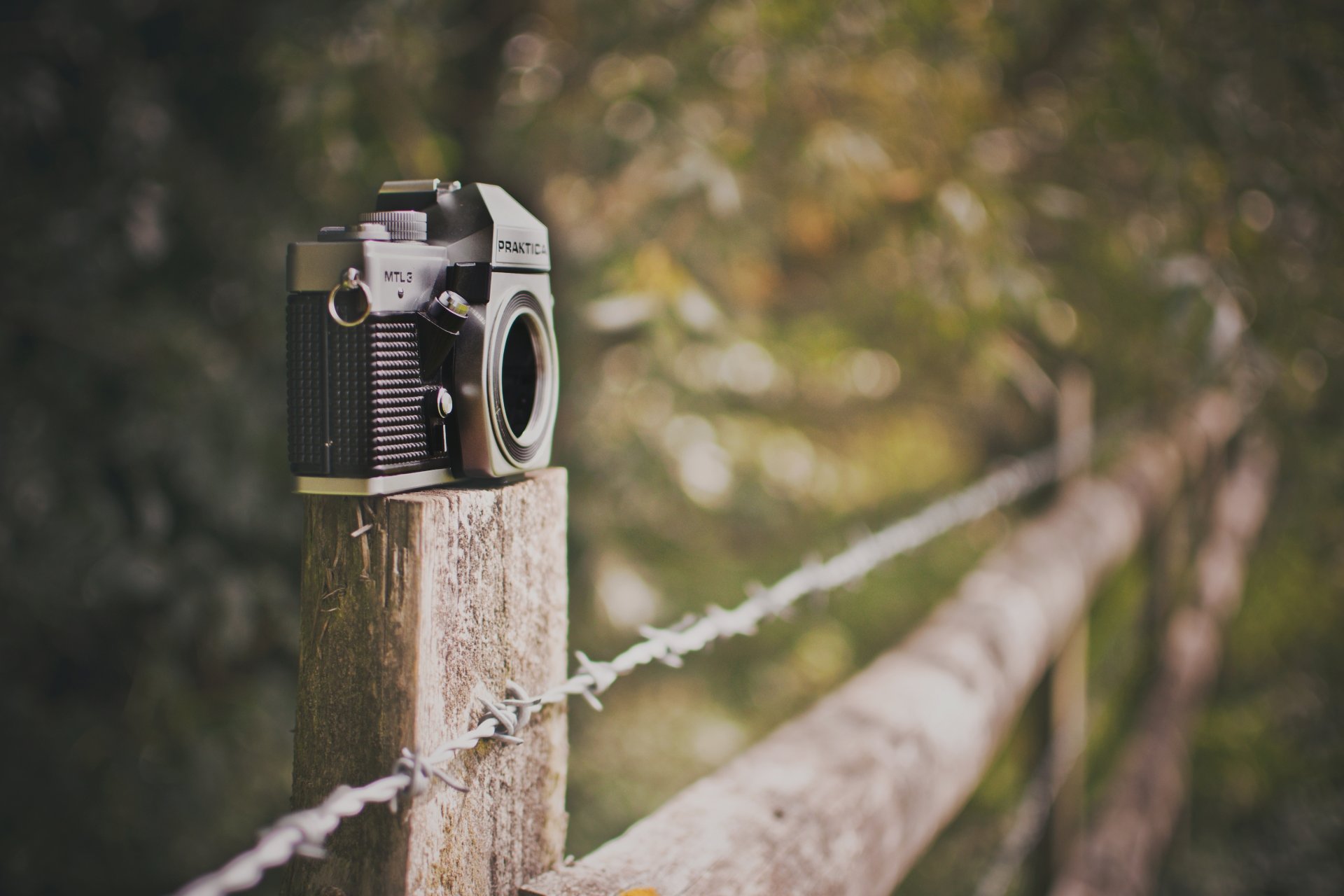 mood macchina fotografica macchina fotografica recinzione recinzione verde natura bokeh sfocatura sfondo carta da parati widescreen schermo intero widescreen widescreen