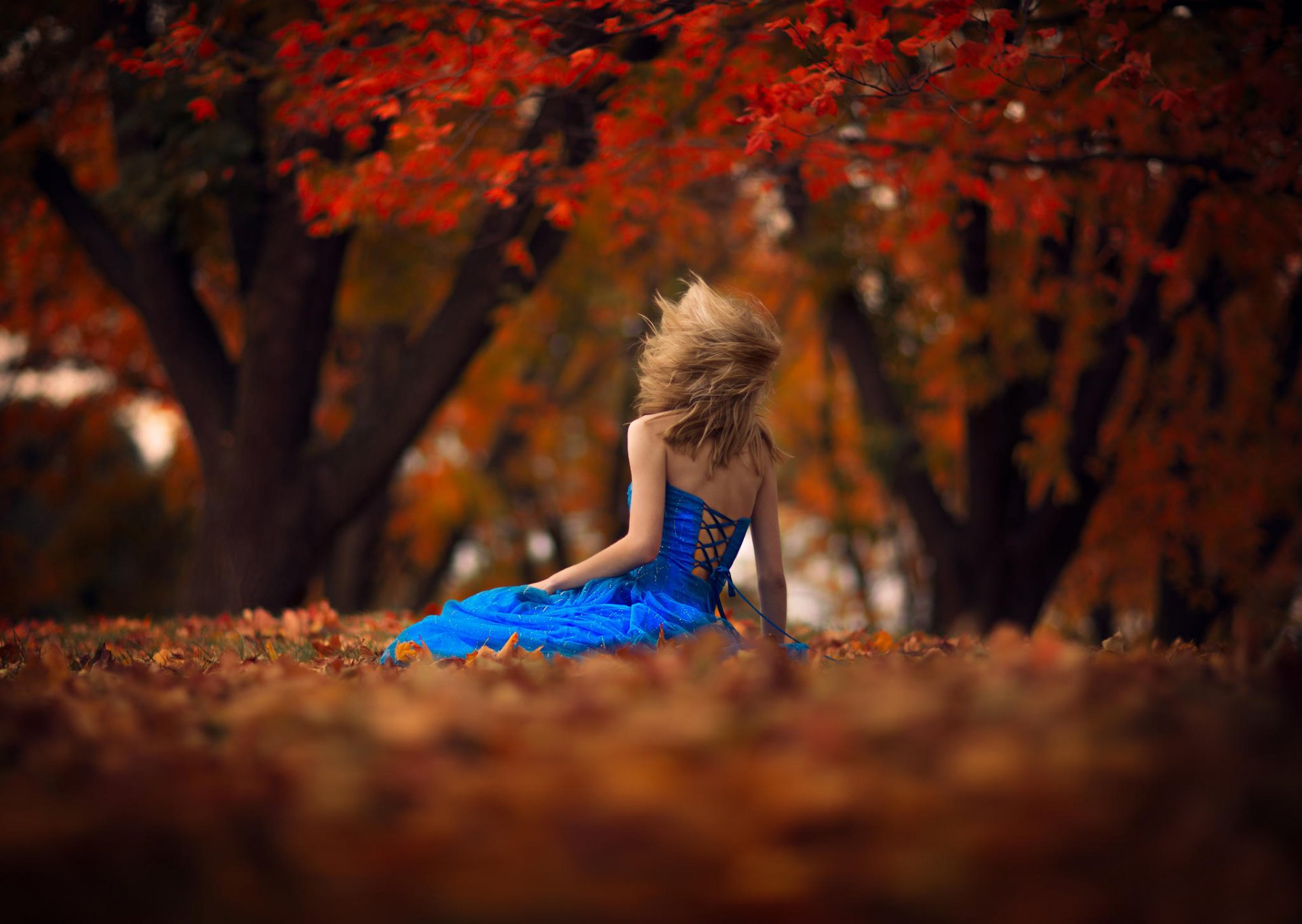 la jeune fille la robe l automne le vent les feuilles boké