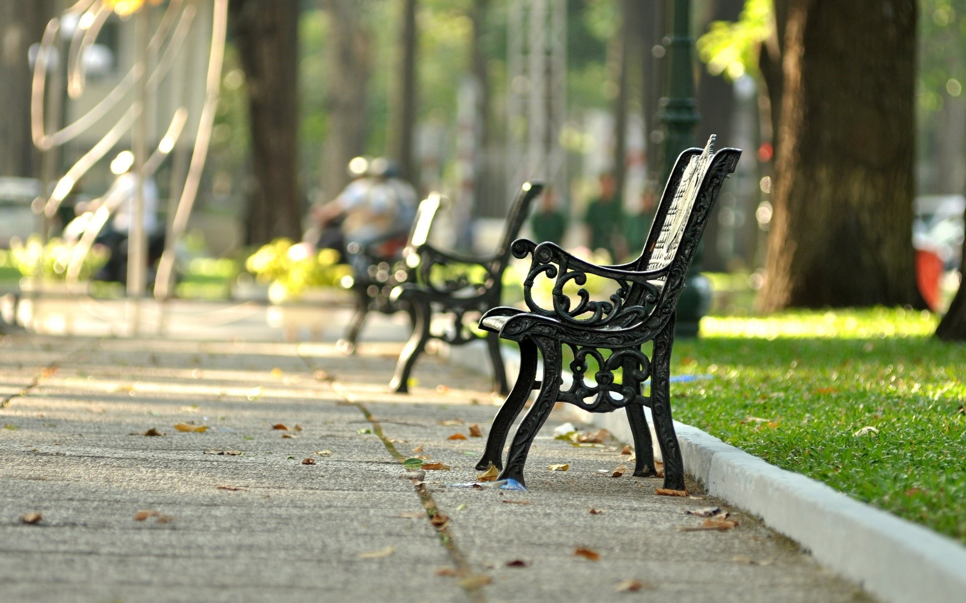 umore panchina panchina panchina parco piazza erba verde foglie strada sfondo carta da parati widescreen schermo intero widescreen widescreen