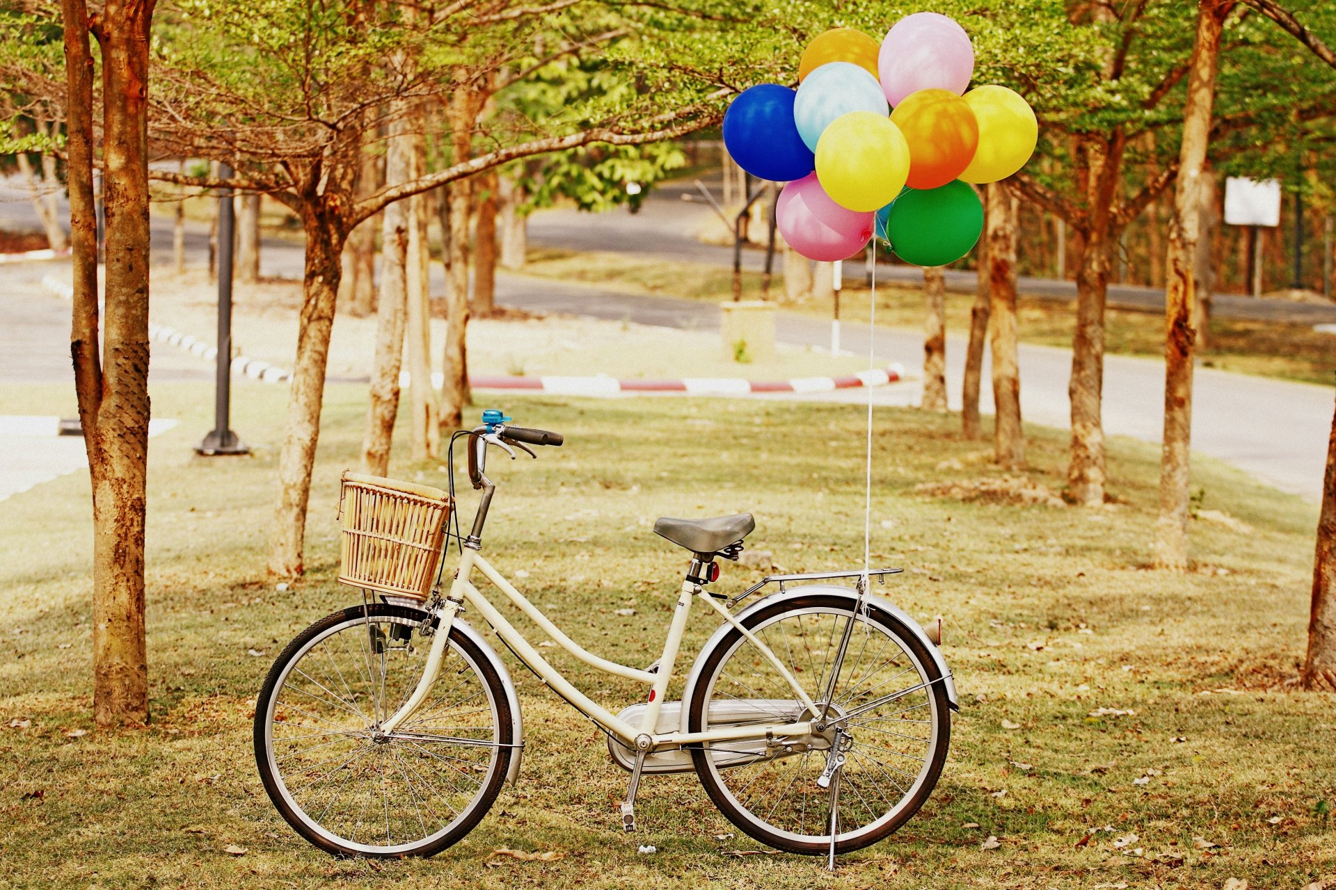 estados de ánimo bicicleta rueda cesta globos globo hierba vegetación árbol árboles fondo papel pintado pantalla ancha pantalla completa pantalla ancha pantalla ancha