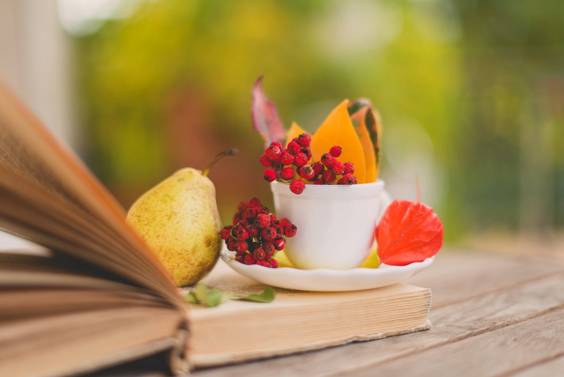 buch birne blätter blätter tasse untertasse beeren rot herbst