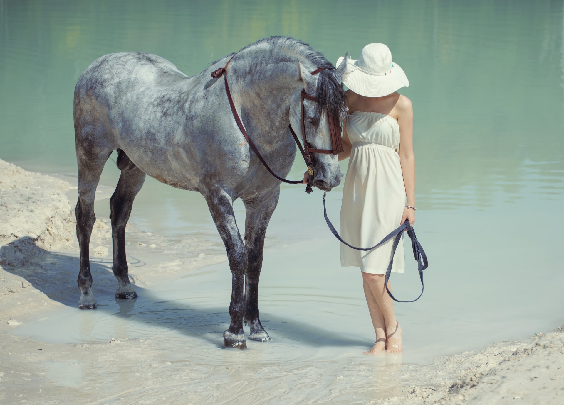 ragazza cavallo acqua cappello