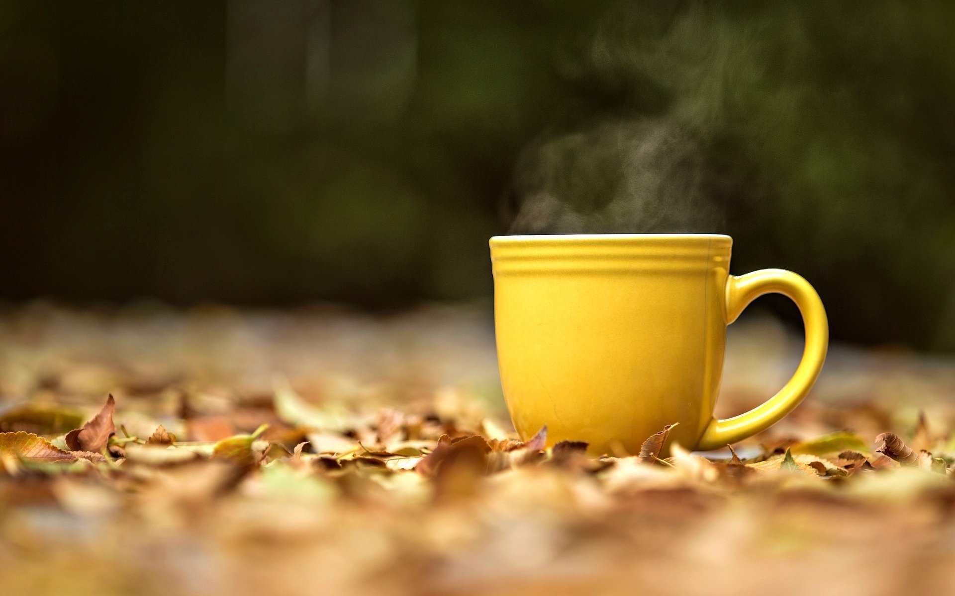 estados de ánimo taza taza amarillo vapor té caliente té hojas hojas amarillo otoño desenfoque macro fondo papel pintado pantalla ancha pantalla completa pantalla ancha pantalla ancha