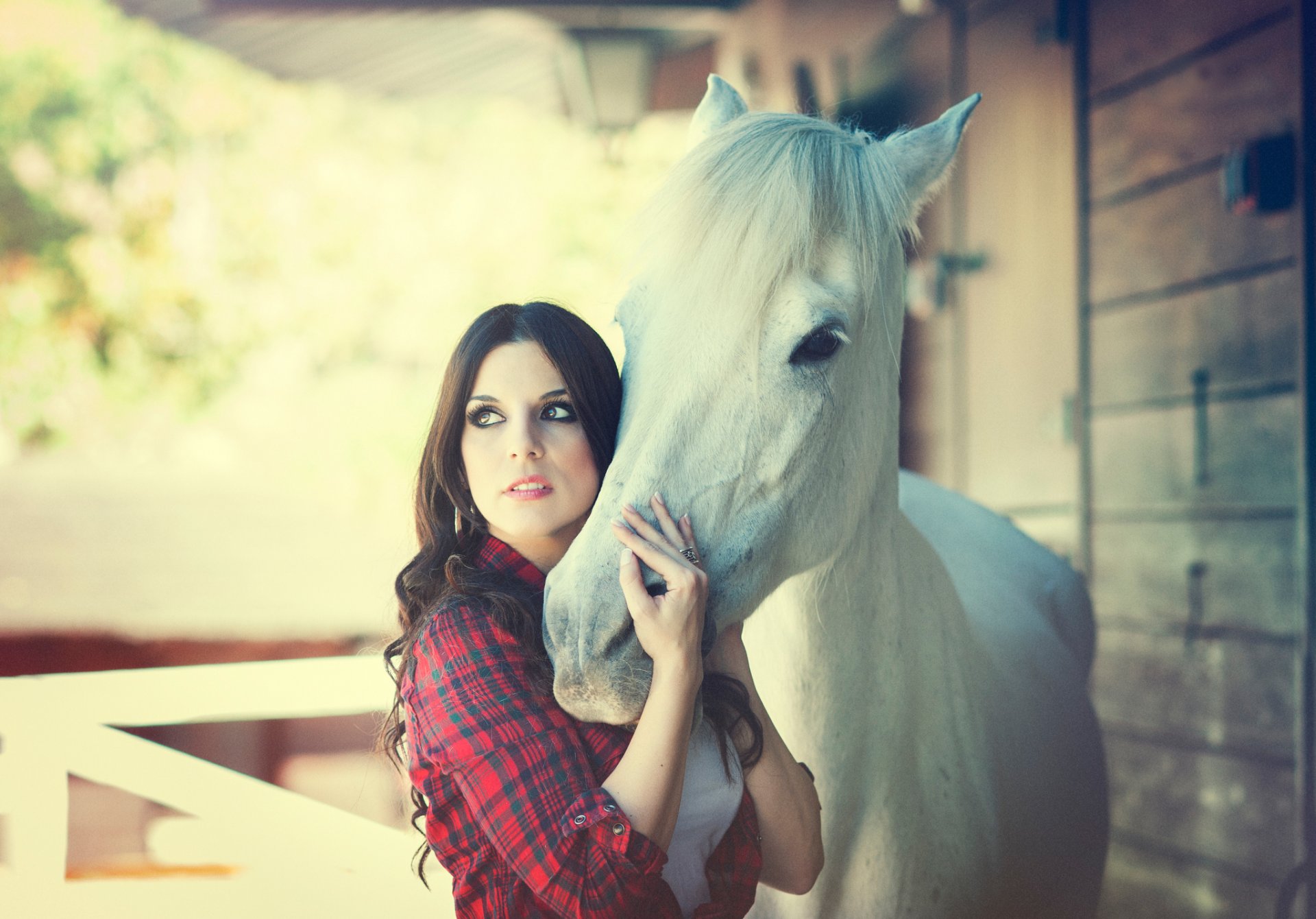 cris de comino la jeune fille le cheval