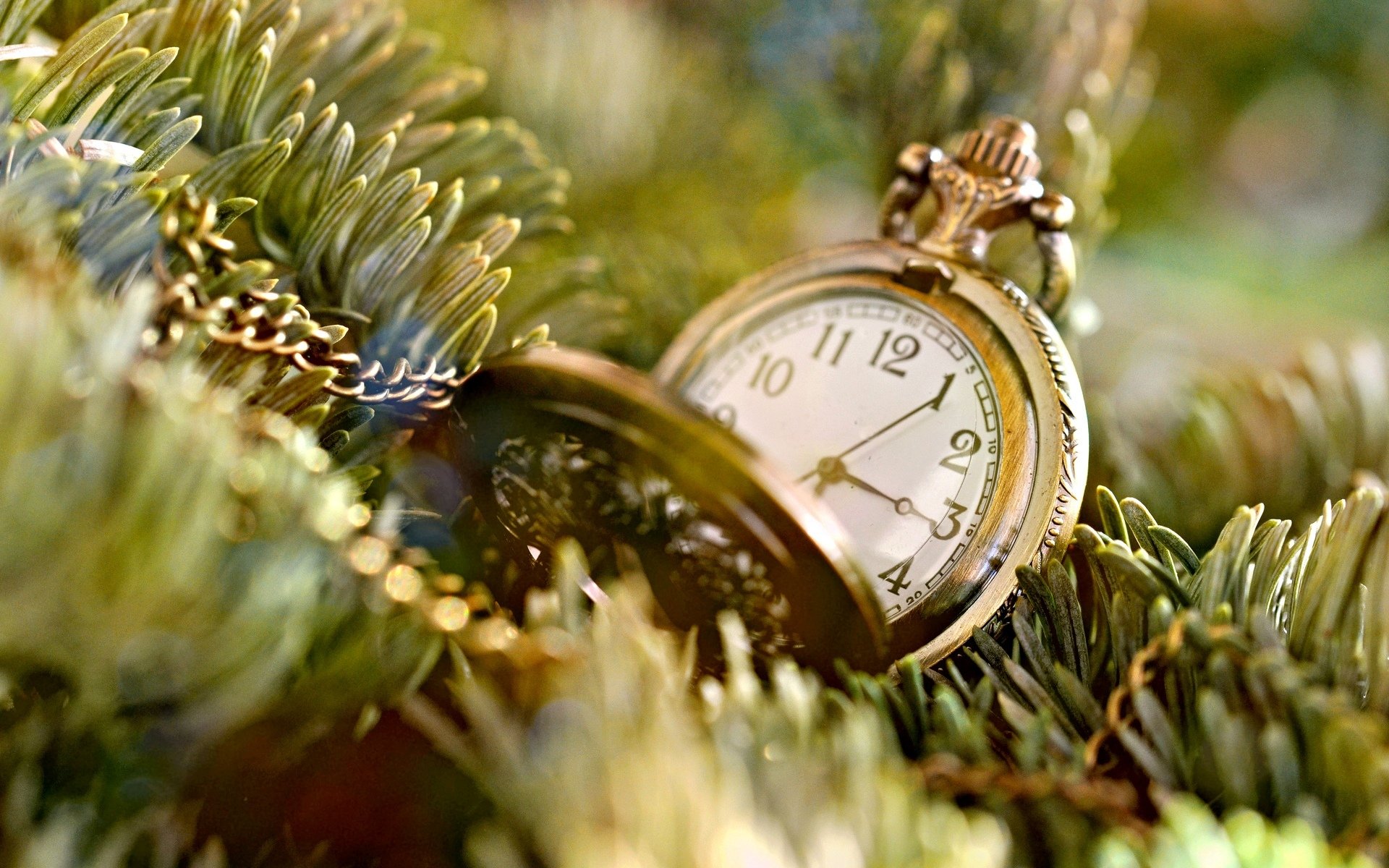 estado de ánimo reloj reloj esfera tiempo cadena cadena árbol de navidad agujas árbol fondo papel pintado pantalla ancha pantalla completa pantalla ancha pantalla ancha