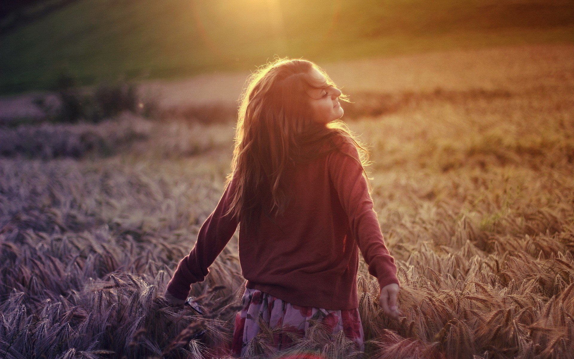 girl the field wheat light