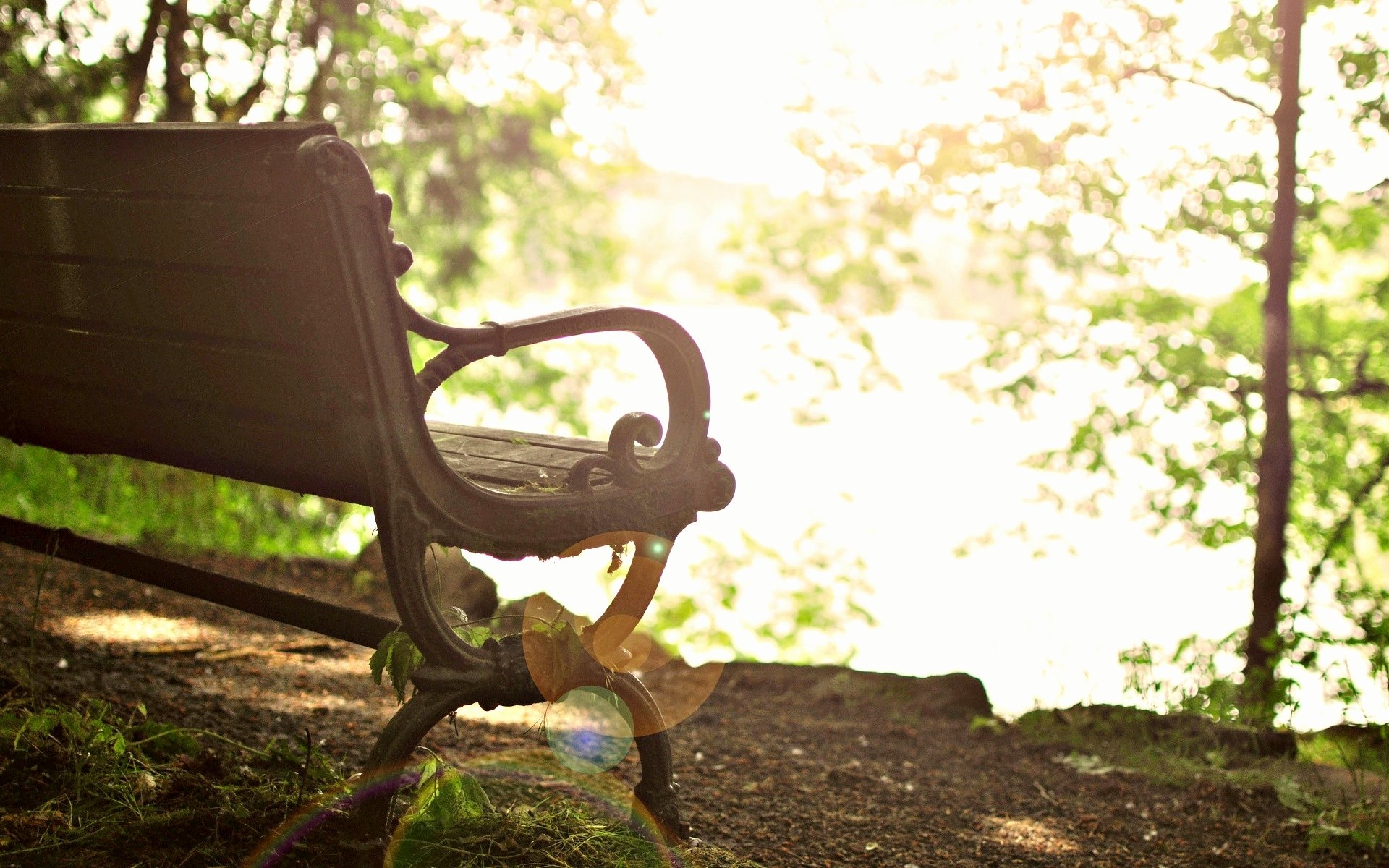 mood bench bench bench bench trees tree leaves leaves bokeh sun background wallpaper widescreen fullscreen widescreen widescreen