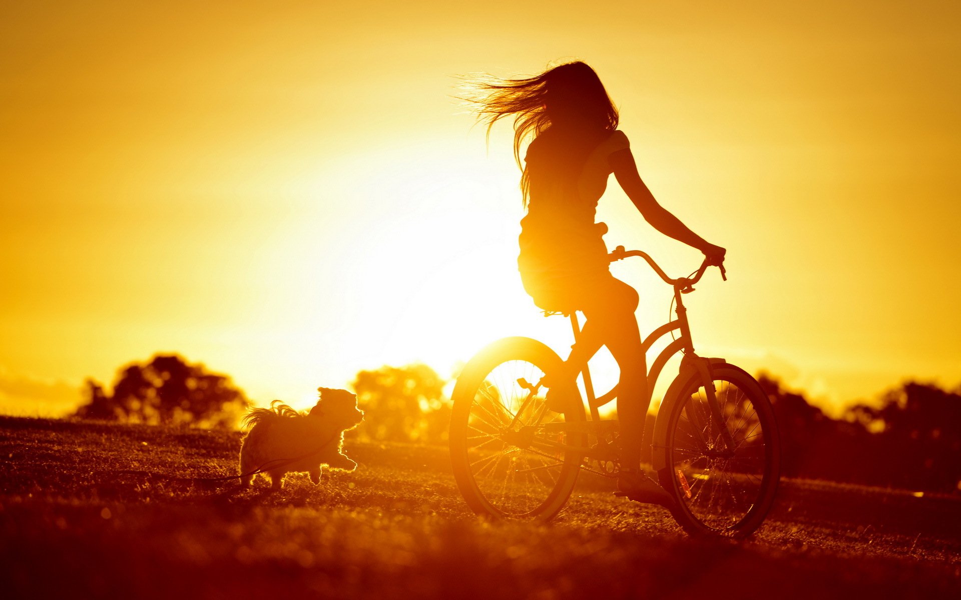 puesta de sol chica bicicleta perro estado de ánimo