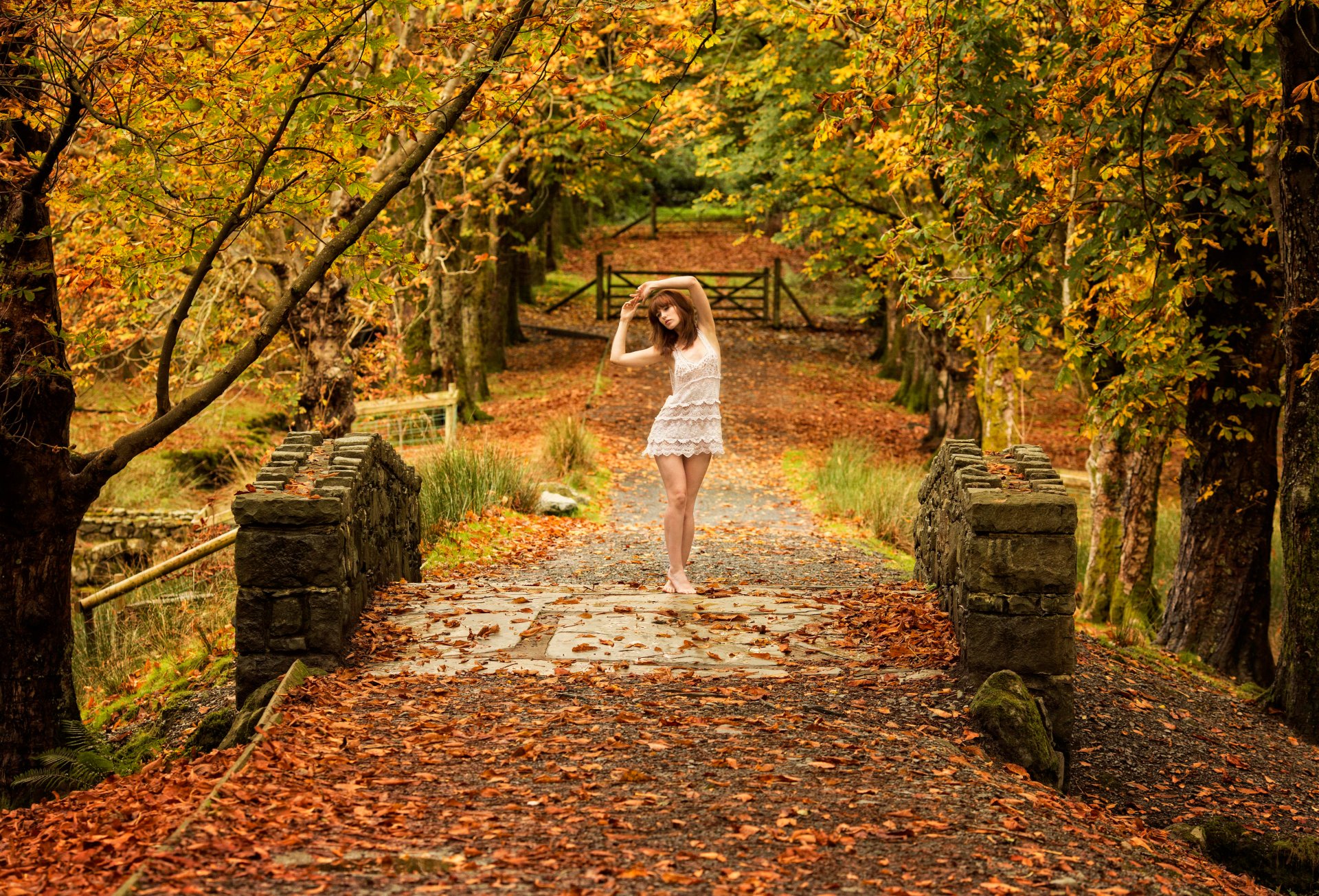 kolor moich marzeń jesień cassie park